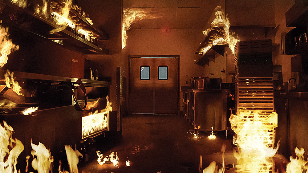 Palms ‘Unstatus Quo’